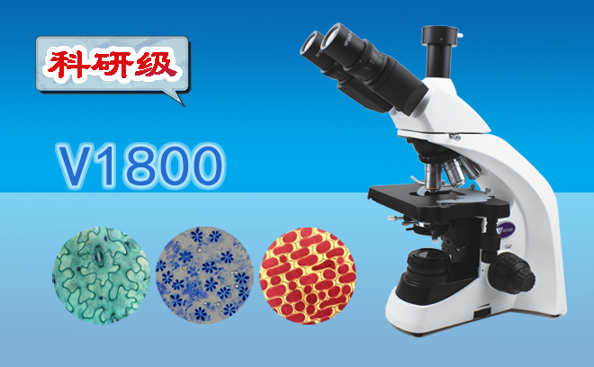 正置生物顯微鏡.png